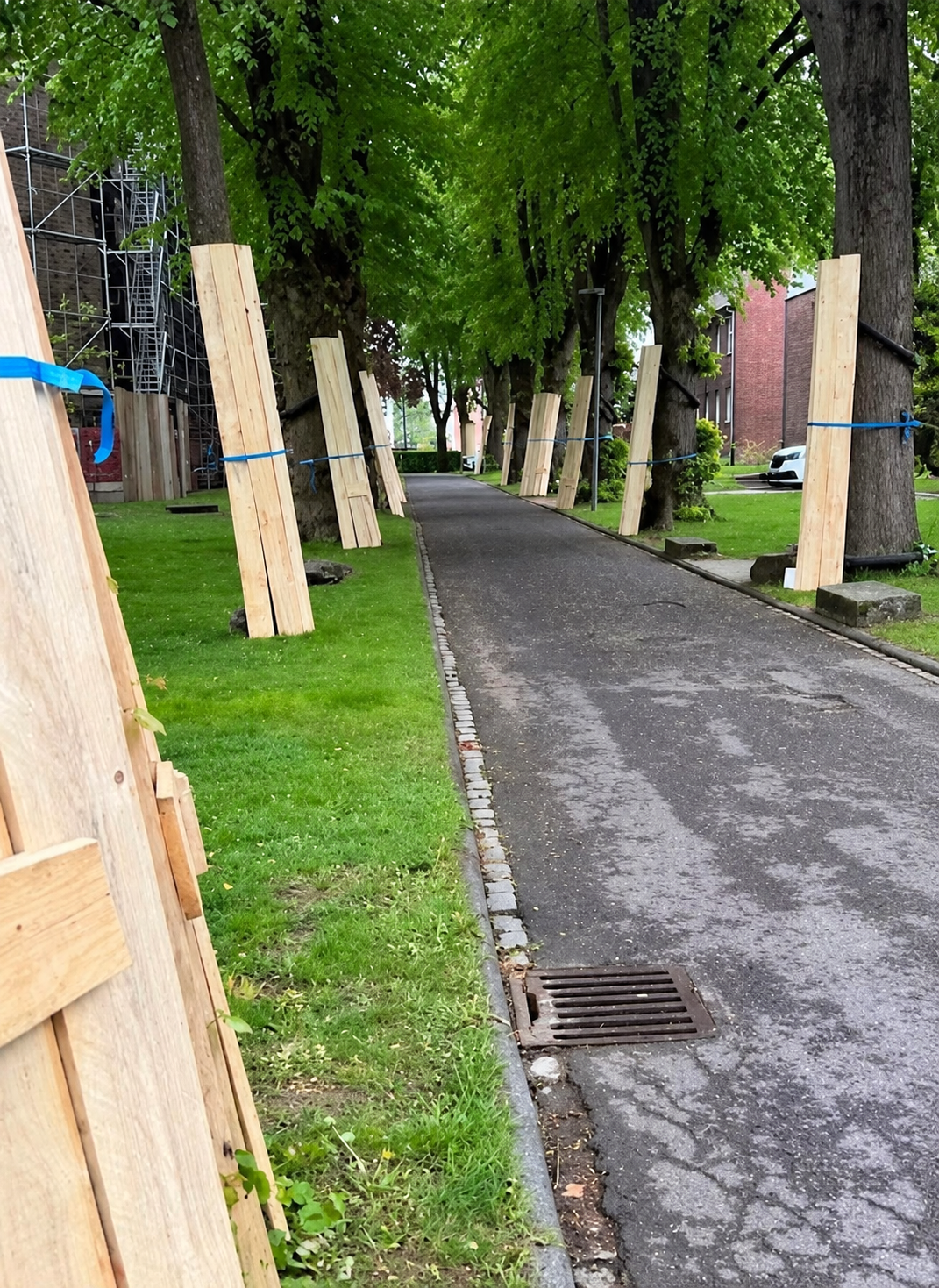Baumschutz und Baustelle vor der Kirche St. Donatus in Aachen-Brand